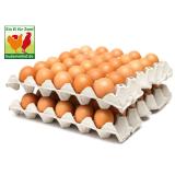 Eier Gr.M/L - 90 Stück