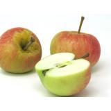 Äpfel - "Rubinola" - 2,5kg Kiste