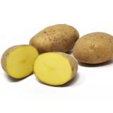 Otolia halbfest. - 2,5kg