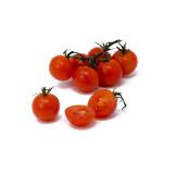 Tomaten - Cherryromastrauch