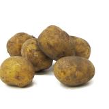 Belana festk. - 10kg