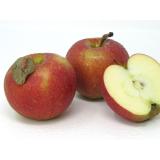 Äpfel - "Wellant" - 5kg - Gebinde