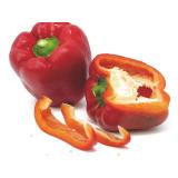 Paprika rot DE