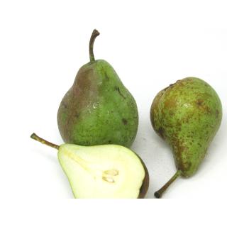 Birne - "Concorde" - 2,5kg Kiste