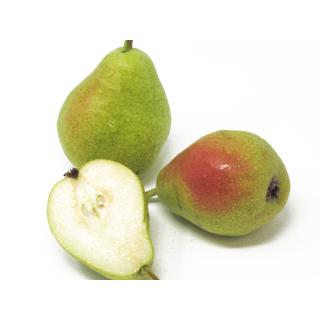 Birne - "Guyot" Neue Ernte 5kg - Gebinde