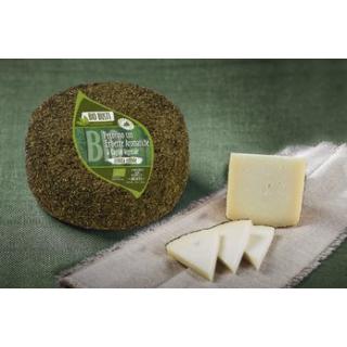 Pecorino mit Kräuterrinde