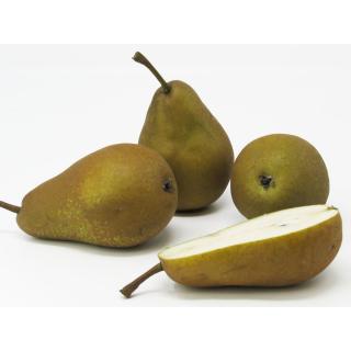 Birne - "Triumph" 2,5kg Kiste