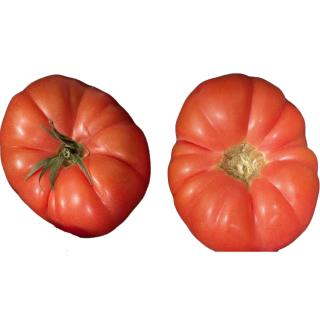 Tomaten - Fleischtomate rot