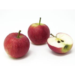Äpfel - "Prinz Albert" - 2,5kg Kiste