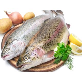 Forelle frisch, ca. 400g, (30.03.-04.04.26, KW14)