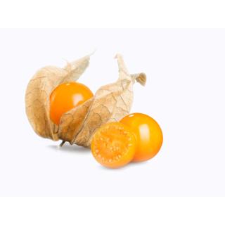 Physalis (Kapstachelbeeren)