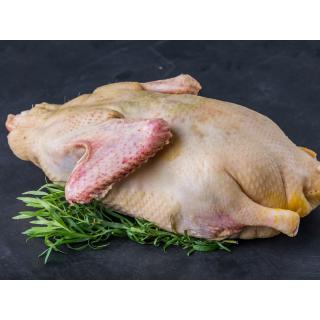 Ente groß, ca. 3,5-4,4kg (22.-23.12.25, KW52)