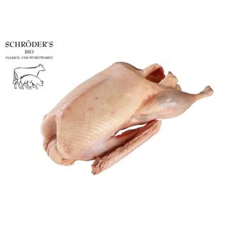 Gans groß ca.5-6kg (22.-23.12.25, KW52)