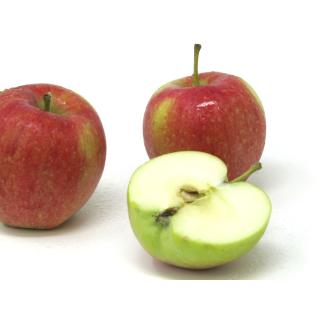 Äpfel - "Collina"