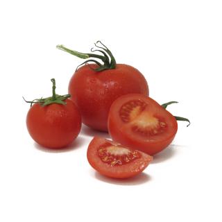 Tomaten - Strauchtomaten