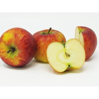 Äpfel - "Santana" - 2,5kg-Kiste
