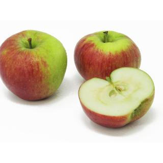 Äpfel - "Hana" Neue Ernte