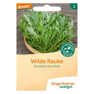 Wilde Rauke Rucola, Saatgut
