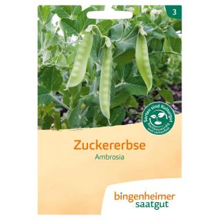 Zuckererbse Ambrosia, Saatgut