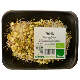 Sprossen - Vital-Mix samenfest