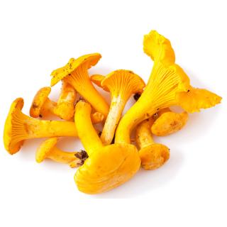 Pilze - Pfifferlinge
