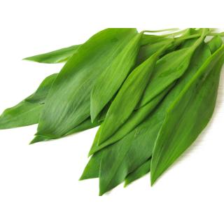 Bärlauch Bund, ca. 40g