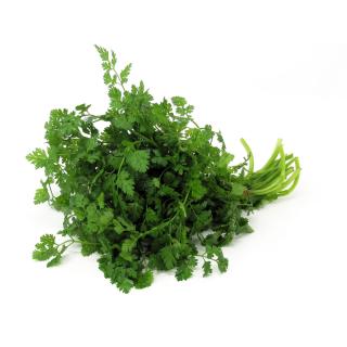 Kerbel Bund