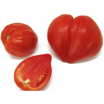 Tomaten - Ochsenherz rot/gelb