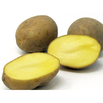 Karelia mehlig k. - 10kg