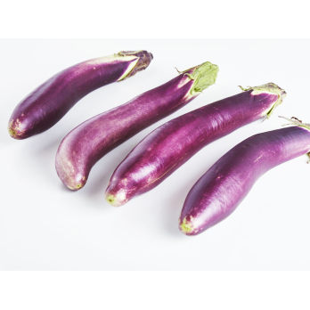 Aubergine japanisch lila