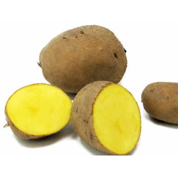 Goldmarie festk. - 2,5kg