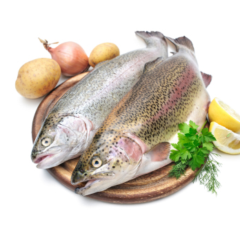 Regenbogenforelle (küchenfertig), ca. 350g (22.-23.12.25, KW52)