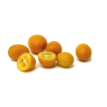 Kumquat