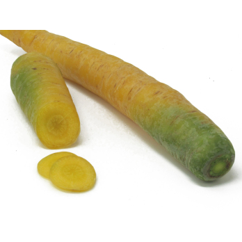 Möhren gelb