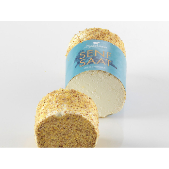 Würzige Ziegenrolle mit Senf