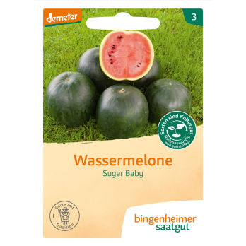 Wassermelone Sugar Baby, Saatgut