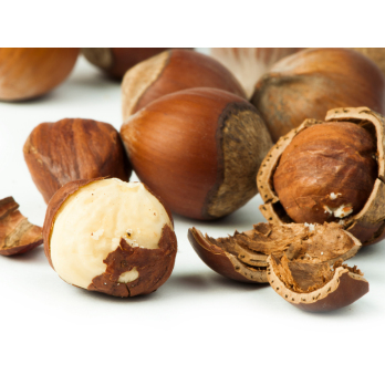 Haselnüsse in der Schale